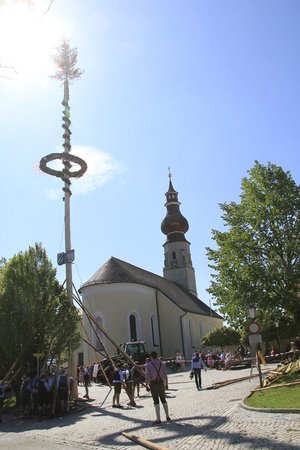 Maibaum aufstellen