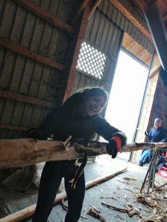 Neue Maibaumstacheln