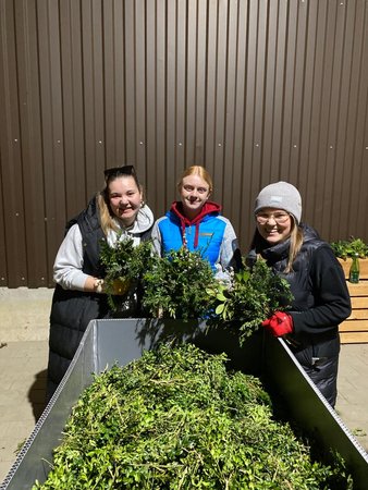 Bezirks-Palmbuschen binden 2023