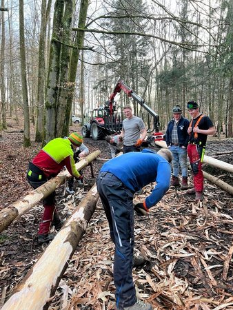 Maibaum aufstellen 2024